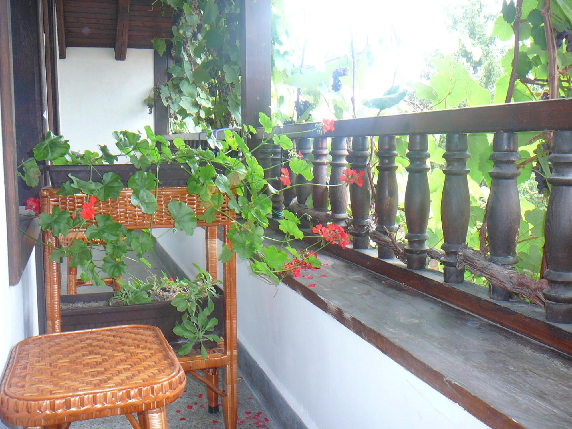 Къща За Гости Типик Bansko Ngoại thất bức ảnh